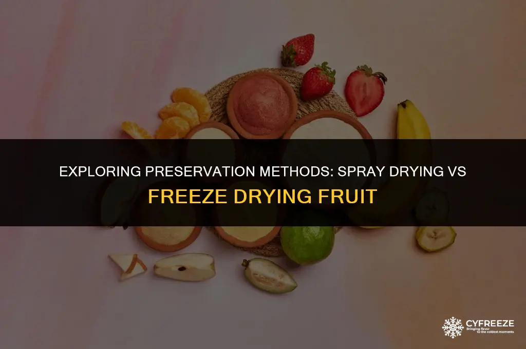 can fruit be spray dried as opposed to freeze dried