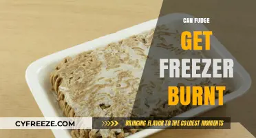 Can Fudge Get Freezer Burnt? Tips to Preserve Your Treats