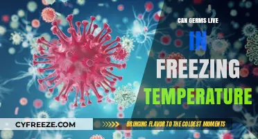 Do Germs Survive in Freezing Temps? Uncovering Cold Weather Myths