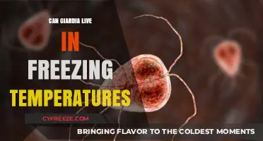 Can Giardia Survive Freezing Temperatures? Uncovering the Truth