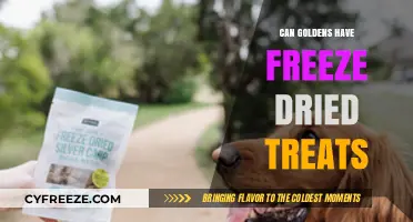Golden Retrievers and Freeze-Dried Treats: A Nutritional Guide