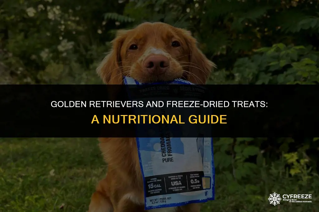 can goldens have freeze dried treats