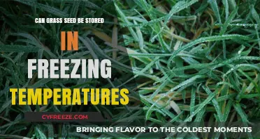 Storing Grass Seed in Freezing Temps: Best Practices and Tips