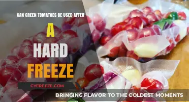 Using Green Tomatoes Post-Freeze: Tips for Salvaging Your Harvest