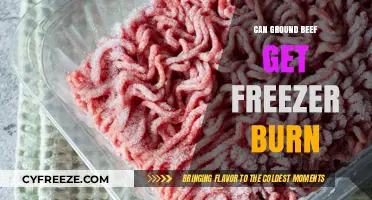 Can Ground Beef Get Freezer Burn? Prevention and Storage Tips