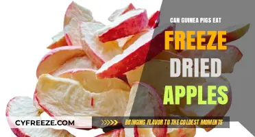Crunchy Delights: Freeze-Dried Apples for Guinea Pigs?