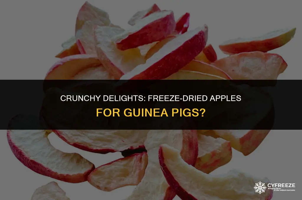 can guinea pigs eat freeze dried apples