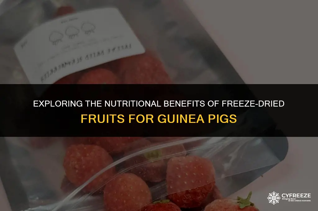 can guinea pigs eat freeze dried fruit
