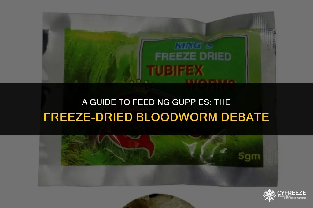 can guppies eat freeze dried bloodworms
