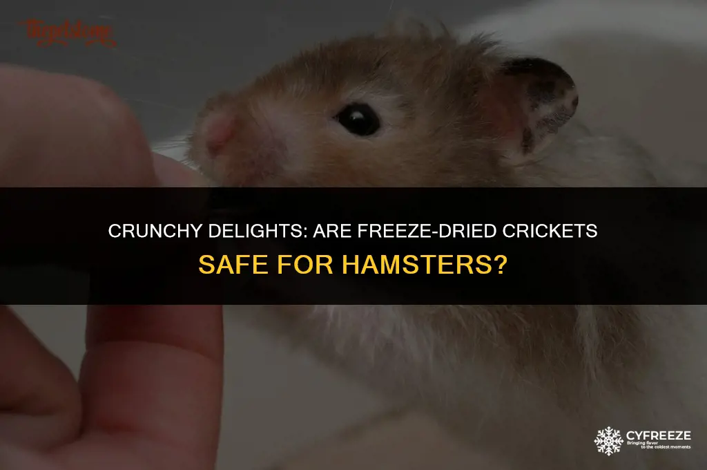 can hamsters eat freeze dried crickets