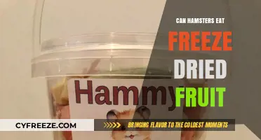 Hamster Diet Guide: The Freeze-Dried Fruit Debate