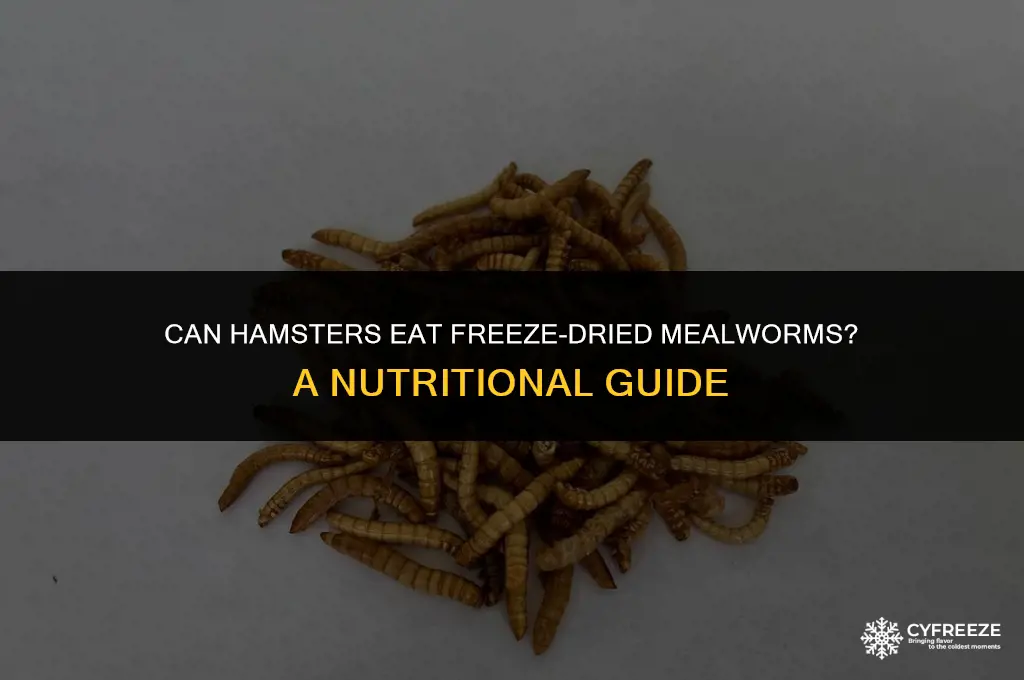 can hamsters eat freeze dried mealworms