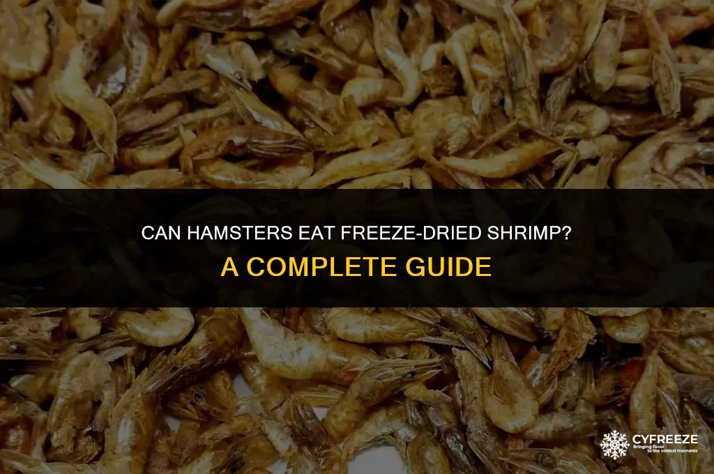 can hamsters eat freeze dried shrimp