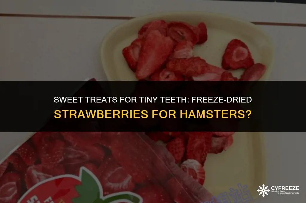 can hamsters eat freeze dried strawberries