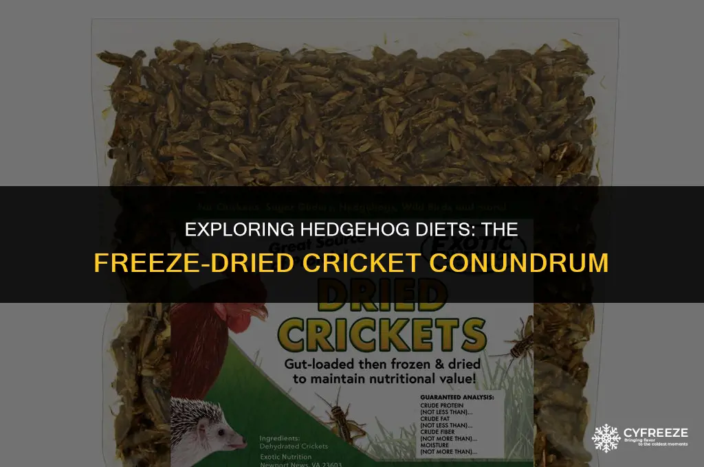 can hedgehogs eat freeze dried crickets