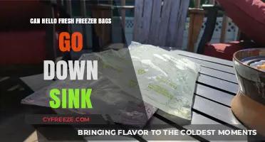Sink or Swim: The Truth About HelloFresh Freezer Bags