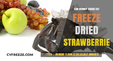 Hermit Crab Diet: The Sweet Truth About Freeze-Dried Strawberries