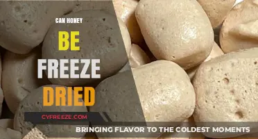 Preserving Nature's Sweetness: The Art of Freeze-Drying Honey
