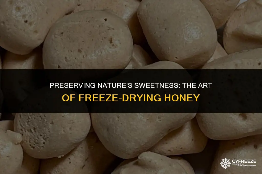 can honey be freeze dried