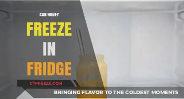 Sweet Chill: Exploring Whether Honey Can Freeze in the Fridge