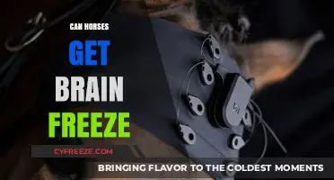 Can Horses Get Brain Freeze? Unraveling the Myth and Facts