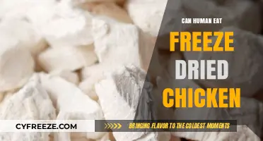 Exploring the Edibility and Safety of Freeze-Dried Chicken for Human Consumption