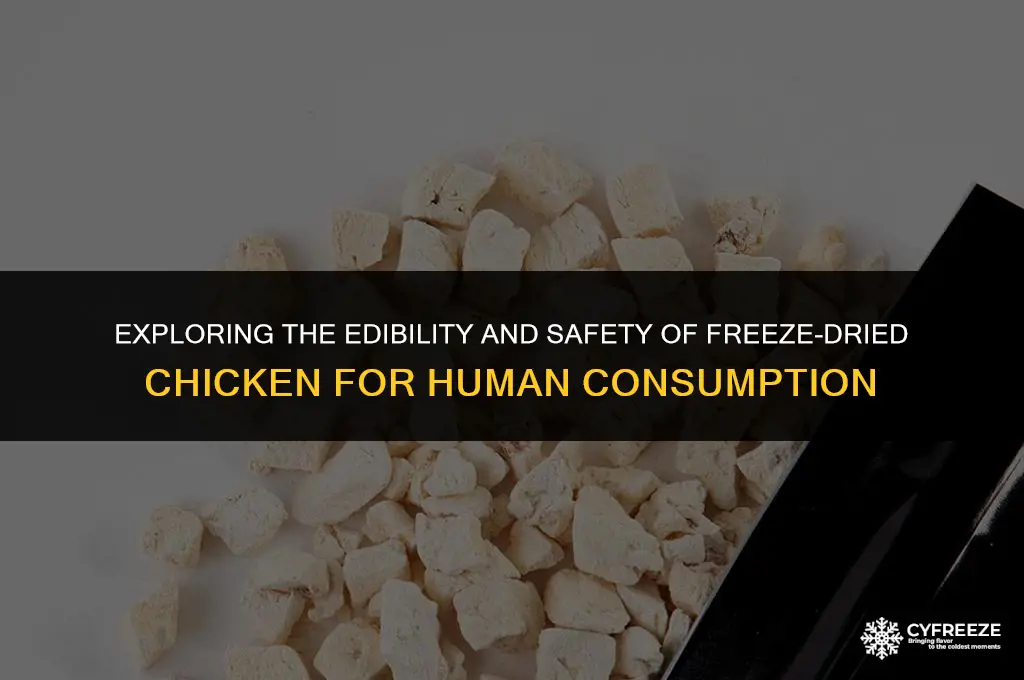 can human eat freeze dried chicken