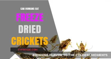 Crunchy and Nutritious: The Surprising Benefits of Eating Freeze-Dried Crickets