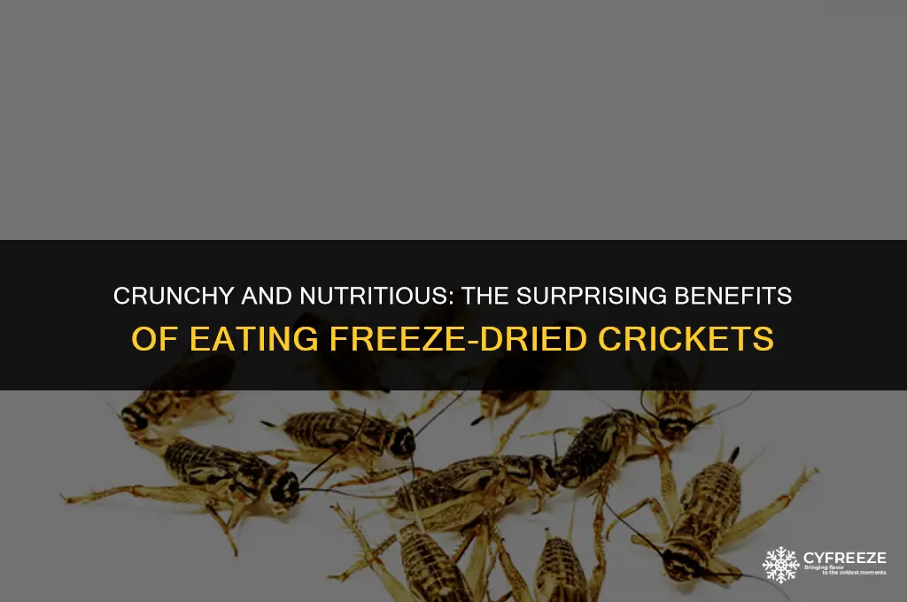 can humans eat freeze dried crickets