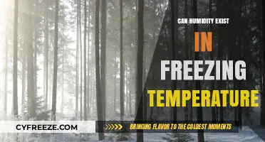 Can Humidity Persist in Freezing Temperatures? Exploring Cold, Moist Air