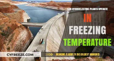 Hydroelectric Plants in Freezing Temperatures: Challenges and Solutions