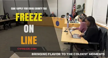 Exploring Online Options for Cook County Tax Freeze Applications