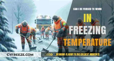 Forced to Work in Freezing Temps? Know Your Legal Rights