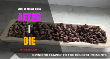 Exploring the Possibilities: Freeze-Drying as a Posthumous Option