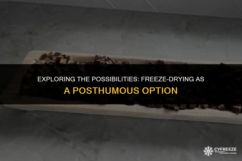 can i be freeze dried after i die