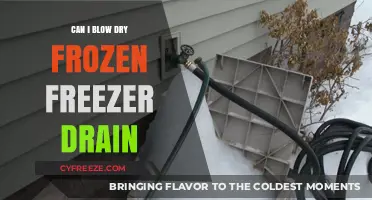 Quick Fix: Thawing and Drying a Frozen Freezer Drain