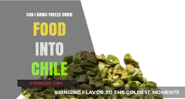 Exploring Chile's Import Rules: Freeze-Dried Food Edition