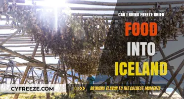 Exploring Iceland: The Complete Guide to Freeze-Dried Food Travel