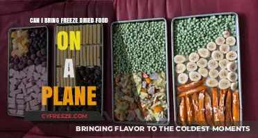 Sky-High Snacks: The Complete Guide to Freeze-Dried Foods on Planes