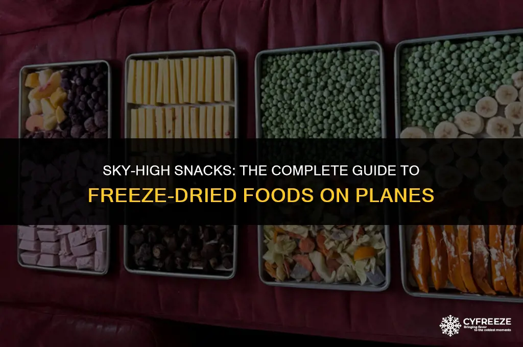 can i bring freeze dried food on a plane