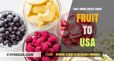 Exploring US Customs: Freeze-Dried Fruit Importation Simplified