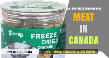 Exploring Freeze-Dried Dog Food Options in Canada: A Comprehensive Guide