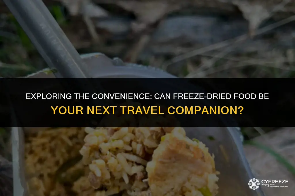 can i carry on freeze dried food