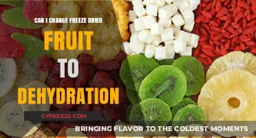 Reviving Freeze-Dried Fruit: The Dehydration Transformation Guide