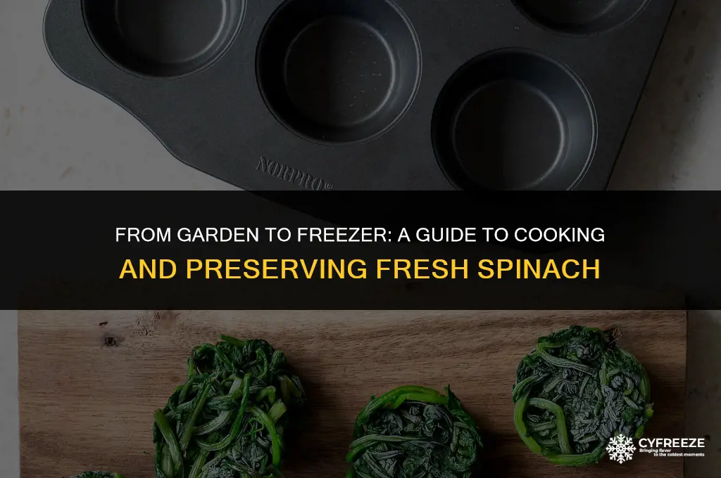 can i cook and freeze fresh spinach