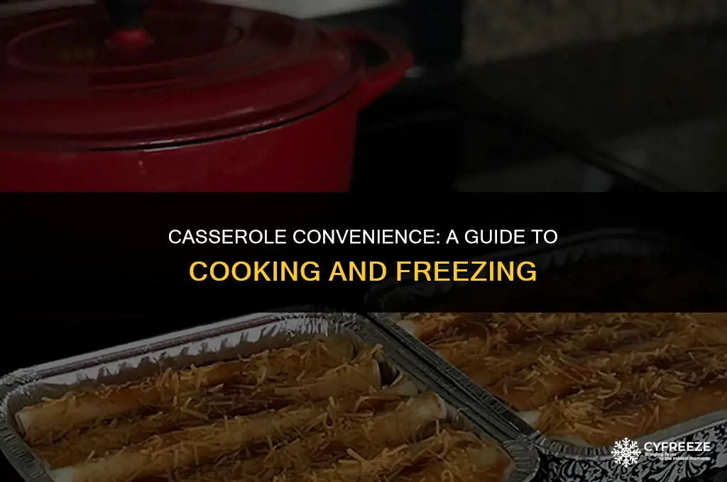 can i cook casseroles and then freeze them