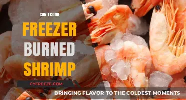 Reviving Frozen Delights: Can You Really Cook Freezer-Burned Shrimp?