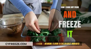 Preserve Your Meals: A Guide to Cooking and Freezing Food