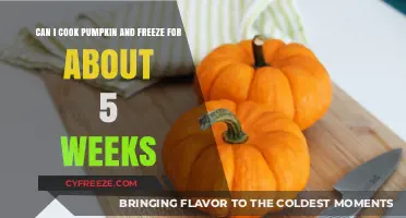 Pumpkin Perfection: Freezing Tips for Long-Lasting Fall Flavors
