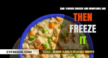 Freezing Comfort: Chicken and Dumplings for Later Delights